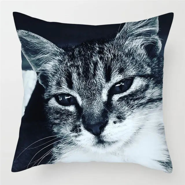 Housse de Coussin Moderne PEACHY 14Style
