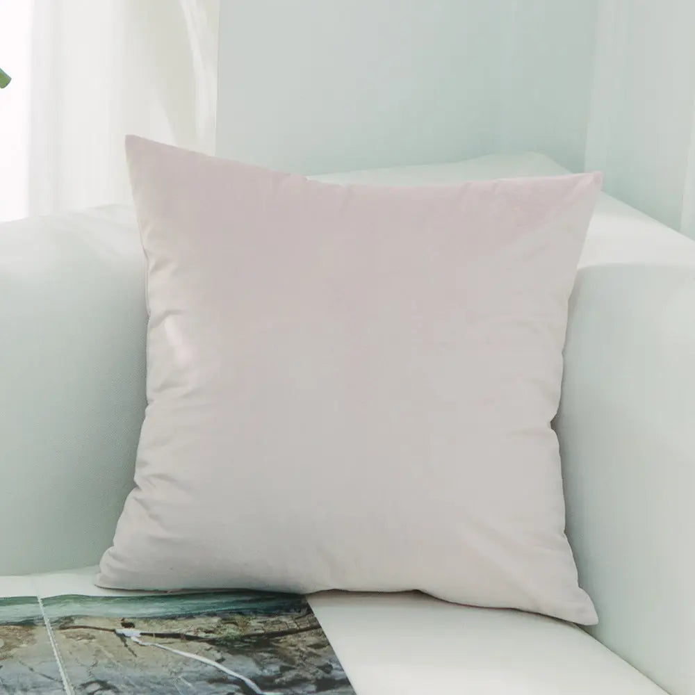 Housse de Coussin Velours FELIO 26 Meatpowder-50x50cmWithout Core