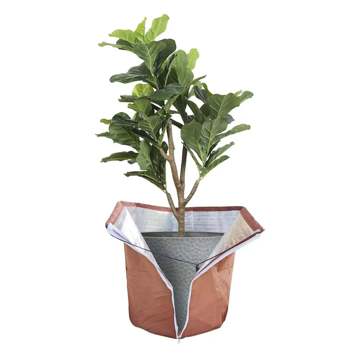 Housse Hivernage Plante Oxford THERMA Housse de France