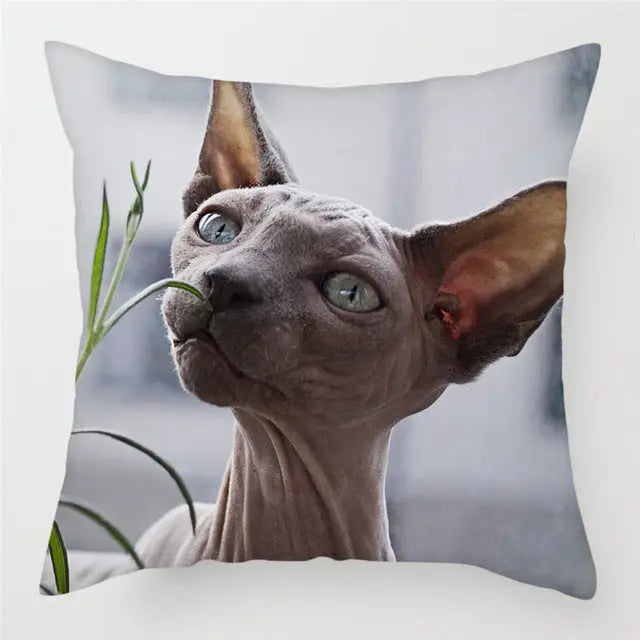 Housse de Coussin Moderne PEACHY 3Style